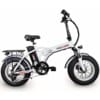 250w electric fat bike
