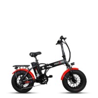 250w electric bikes