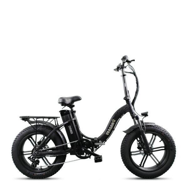 750w fat electric bike
